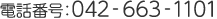 042-663-1101